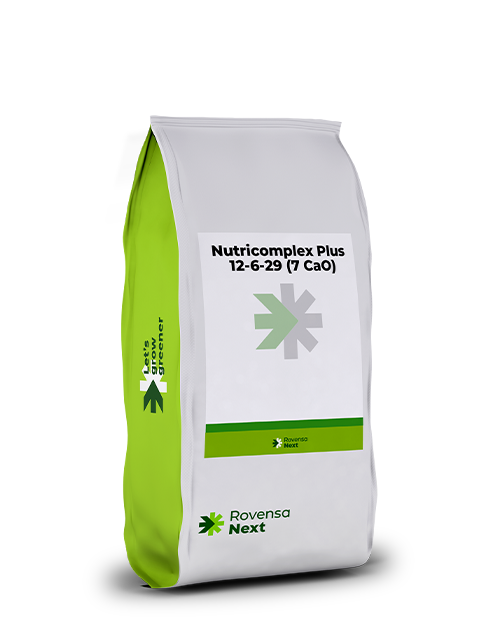 Nutricomplex Plus 12-6-29 (7 CaO)_Bag