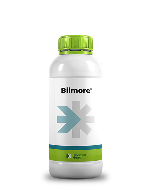 Biimore_mockup_site