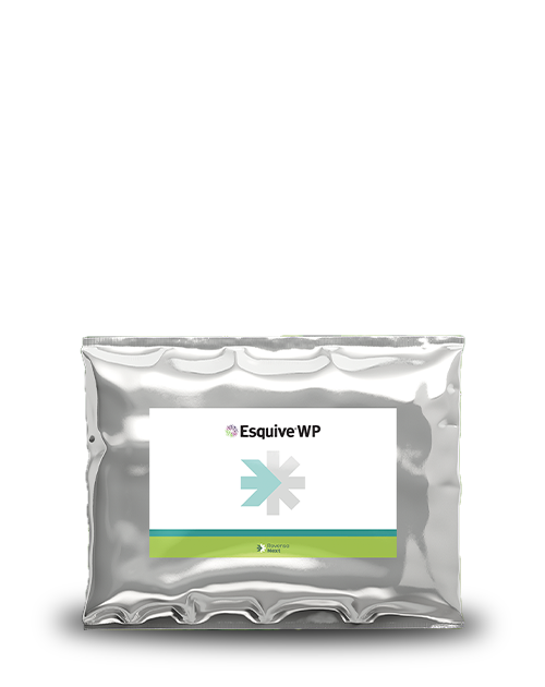 Esquive WP