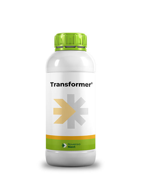 Transformer_mockup_site