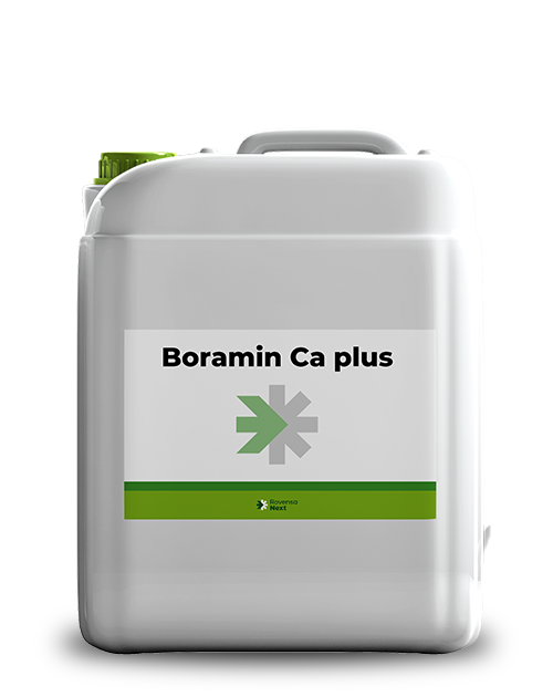 Boramin Ca plus