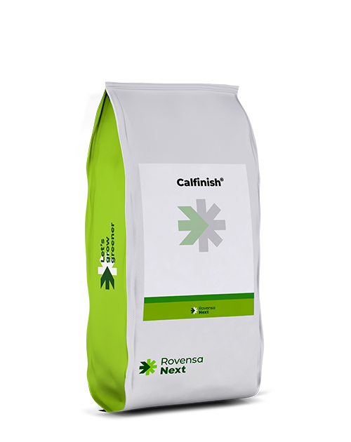 Calfinish_mockup_site