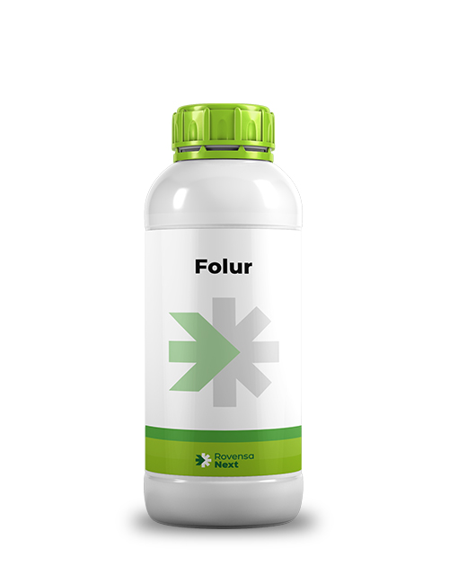 Folur_mockup_site