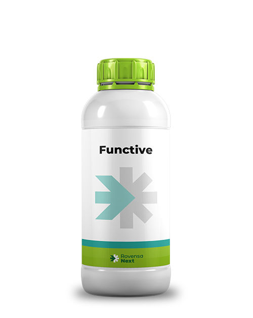 Functive_mockup_site