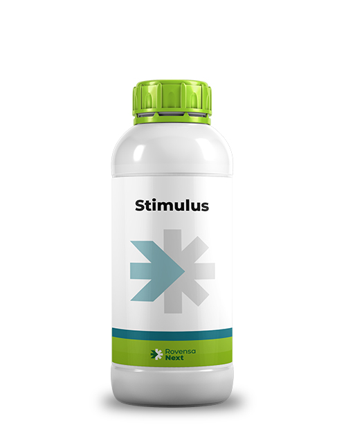 Stimulus_mockup_site