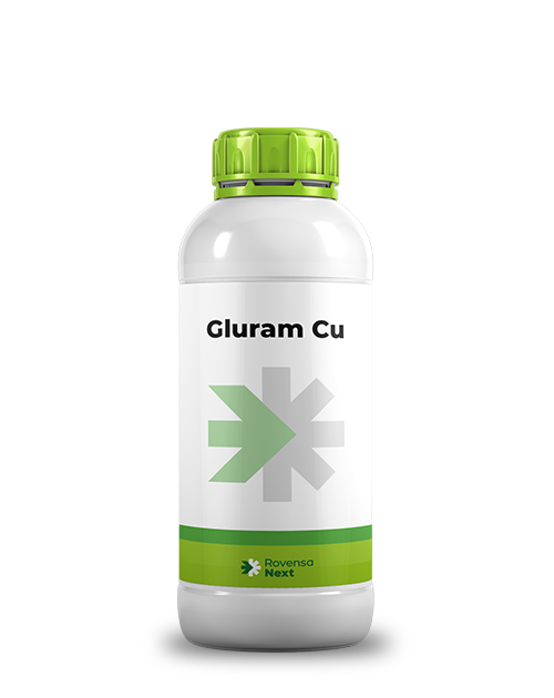 Gluram Cu_mockup_site