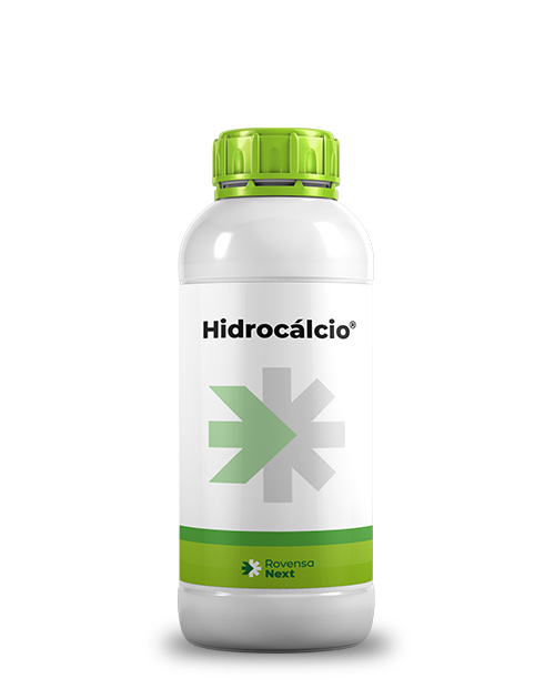 Hidrocálcio_mockup_site