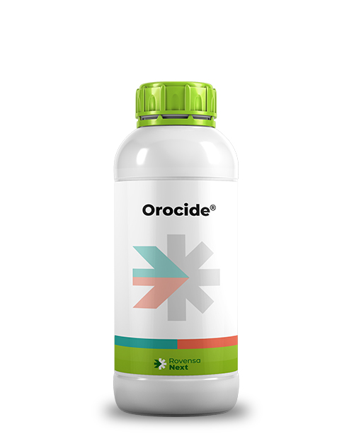 Orocide_mockup_site