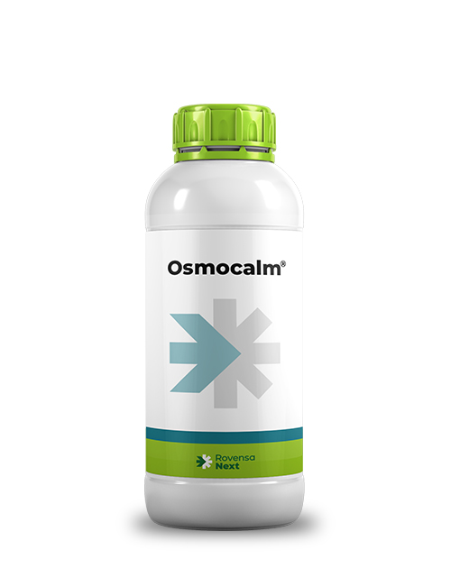 Osmocalm_mockup_site