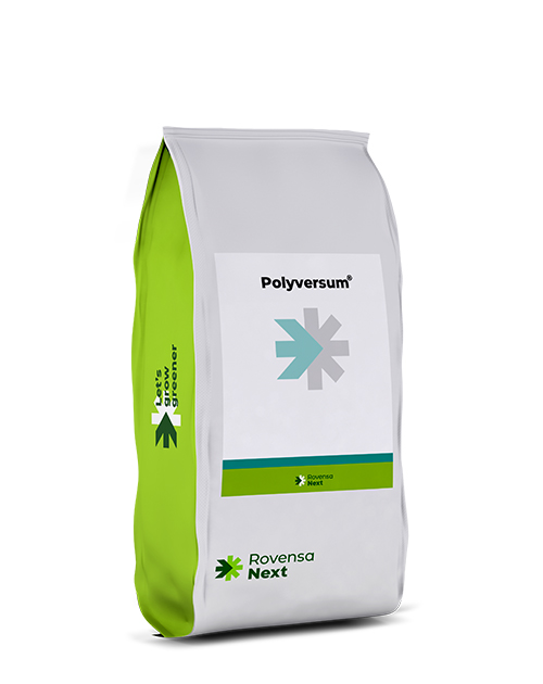 Polyversum_mockup_site