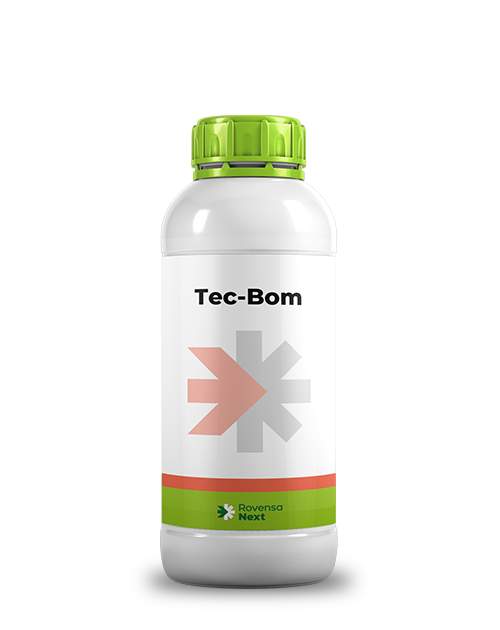 Tec-Bom_mockup_site