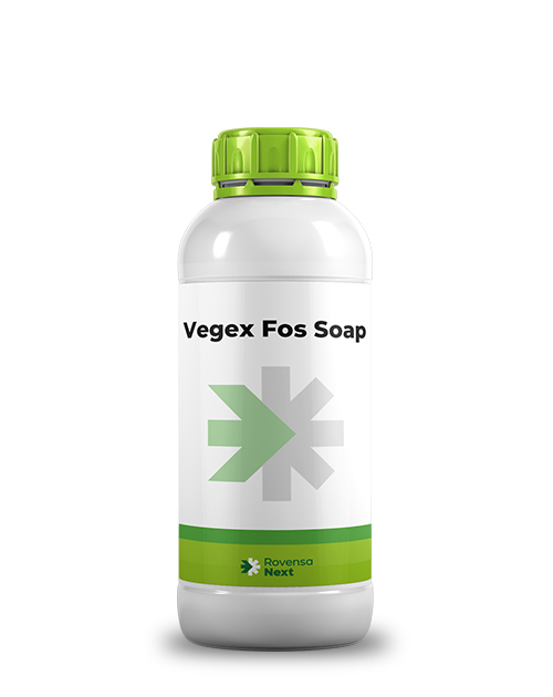 Vegex Fos Soap_mockup_site